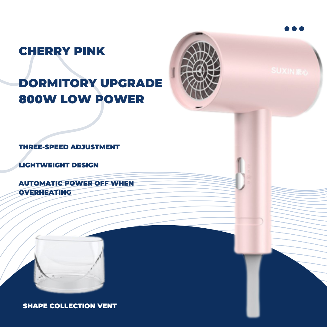 Shasoul Pro Care Dryer