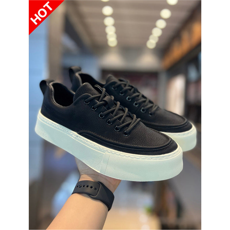 SwiftLine Active Walkers