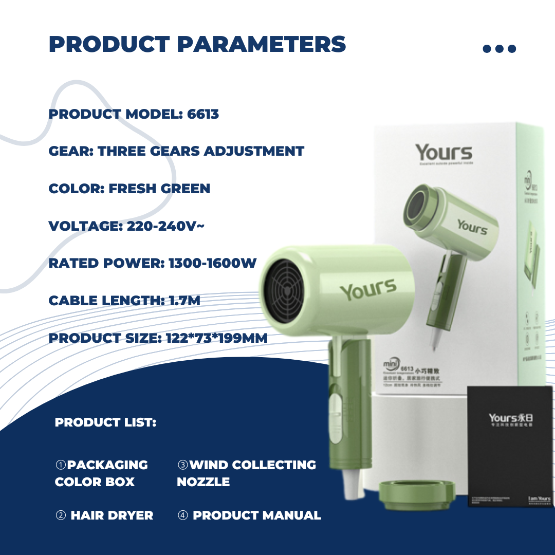 Shasoul Pro Style Dryer