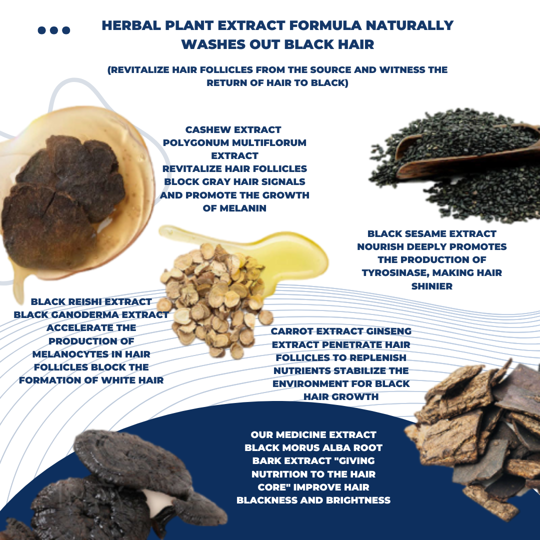 Shasoul Herbal Black Hair