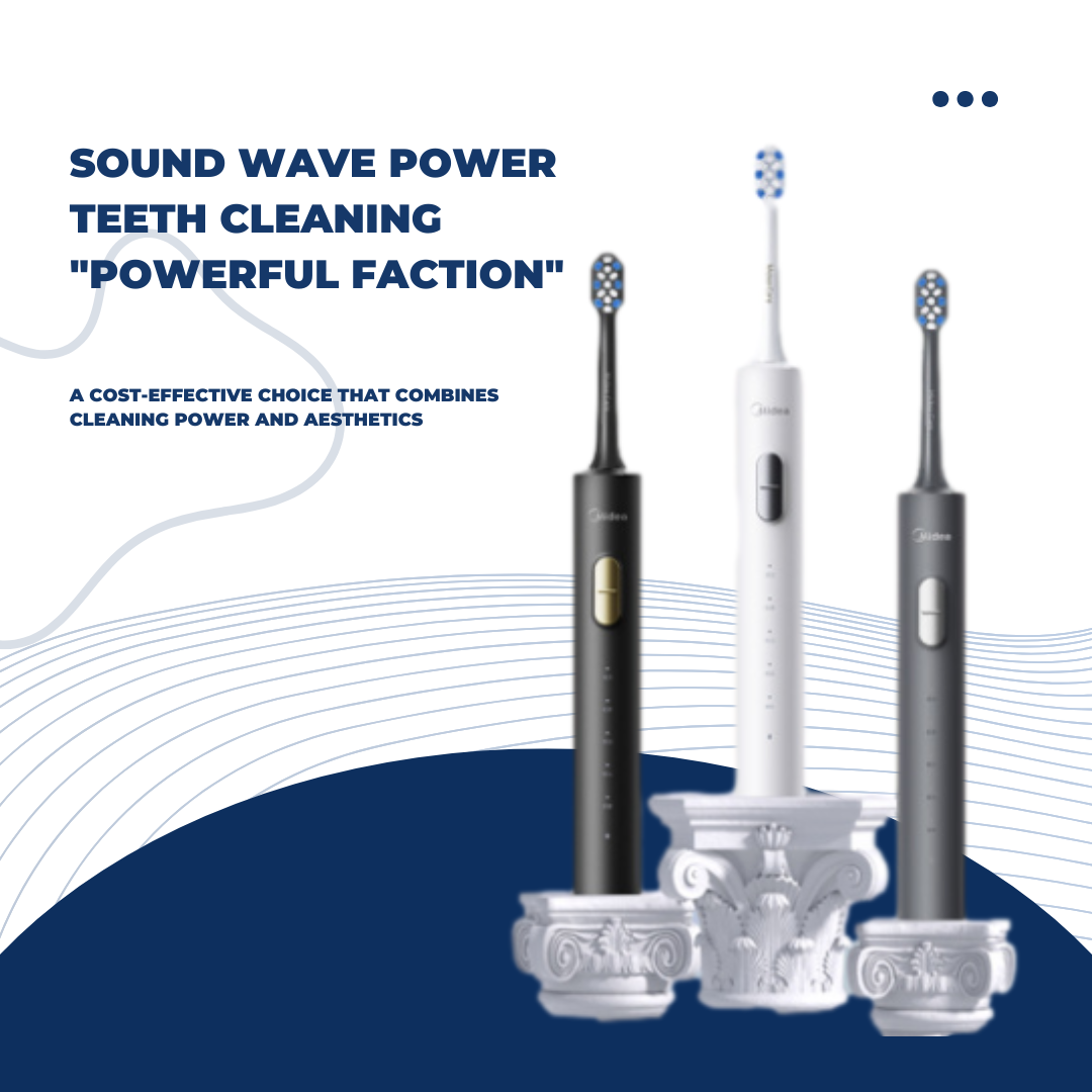 Shasoul Sonic Toothbrush Couple Set