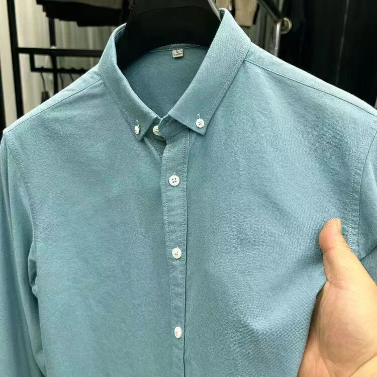 Premium Cotton Oxford Shirt