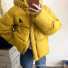 Ginger yellow