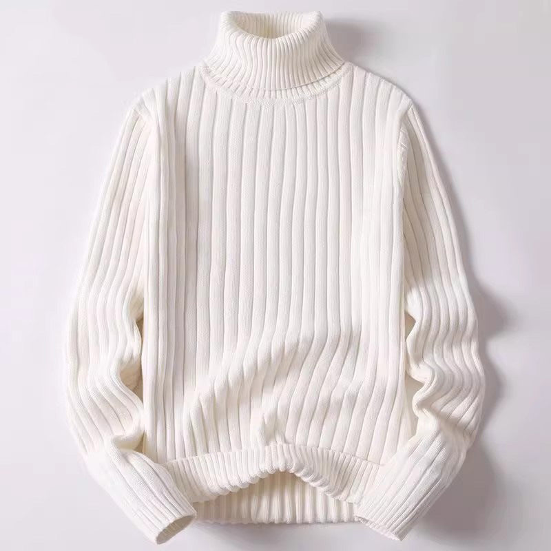 Men's Turtleneck Knit Sweater