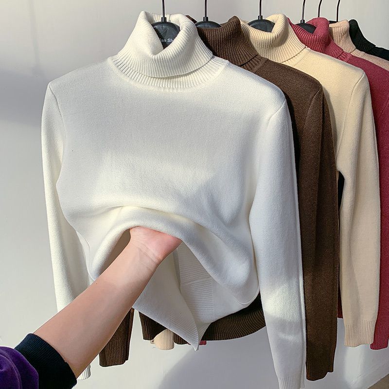 Plush-Lined Turtleneck Sweater.