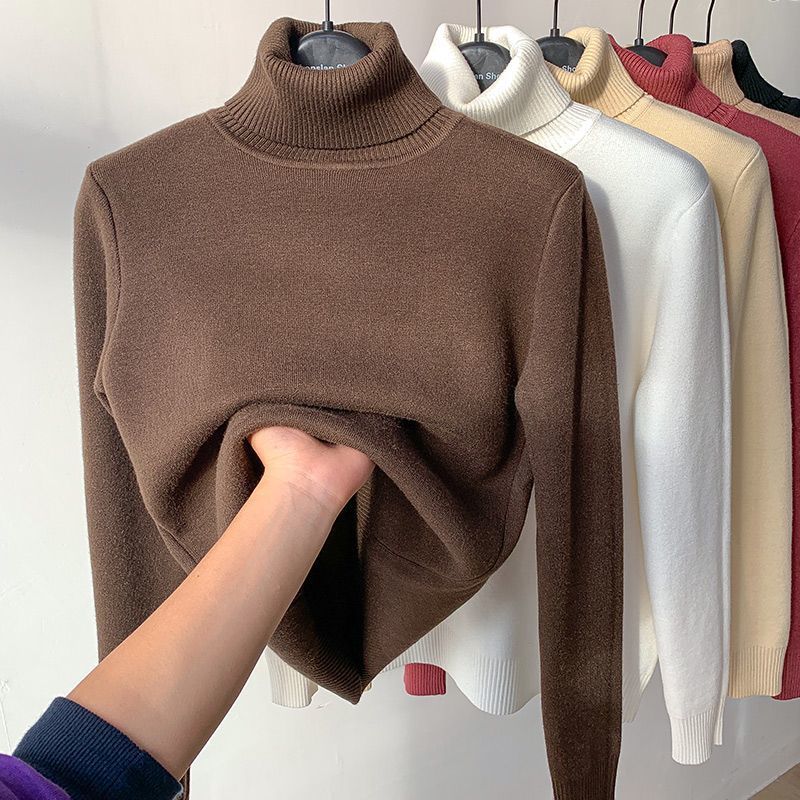 Plush-Lined Turtleneck Sweater.