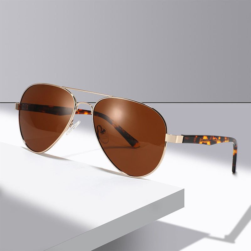 Sky-Wing Polarized Aviators