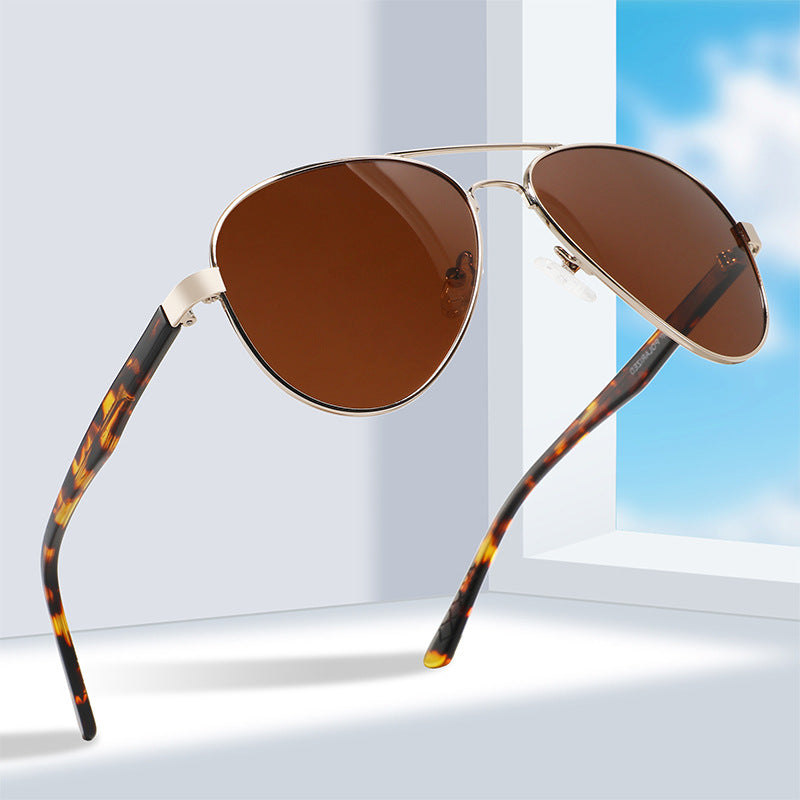 Sky-Wing Polarized Aviators