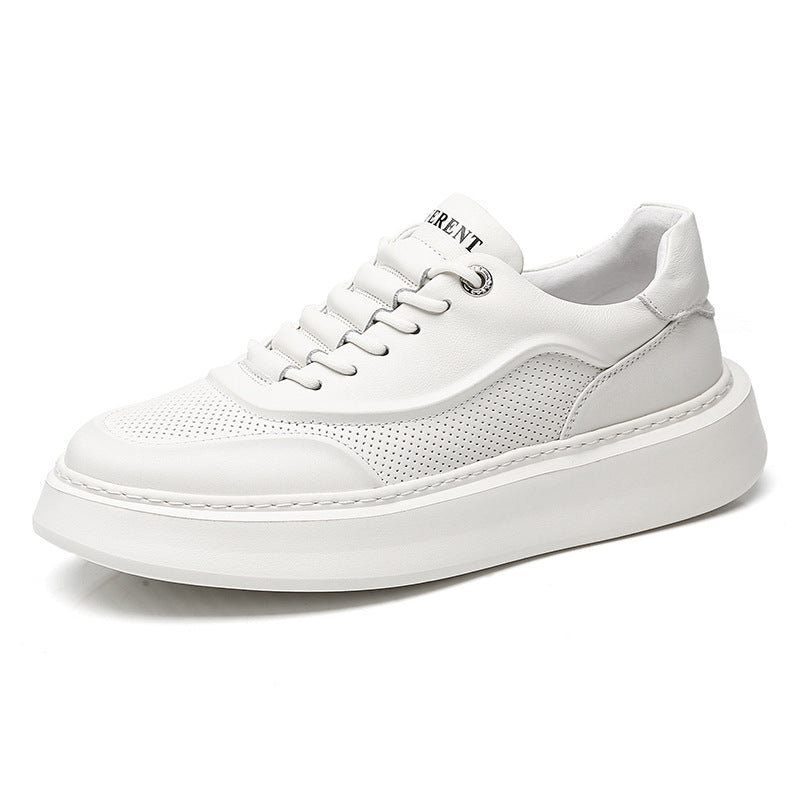 Perforated Low Top Trainers
