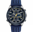 Blue Angel Watch
