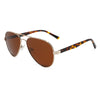 C2 bright light gold frame tortoiseshell foot polarized full tea slices