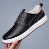 XY Black 2528