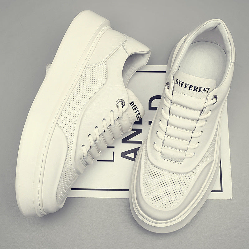 Perforated Low Top Trainers