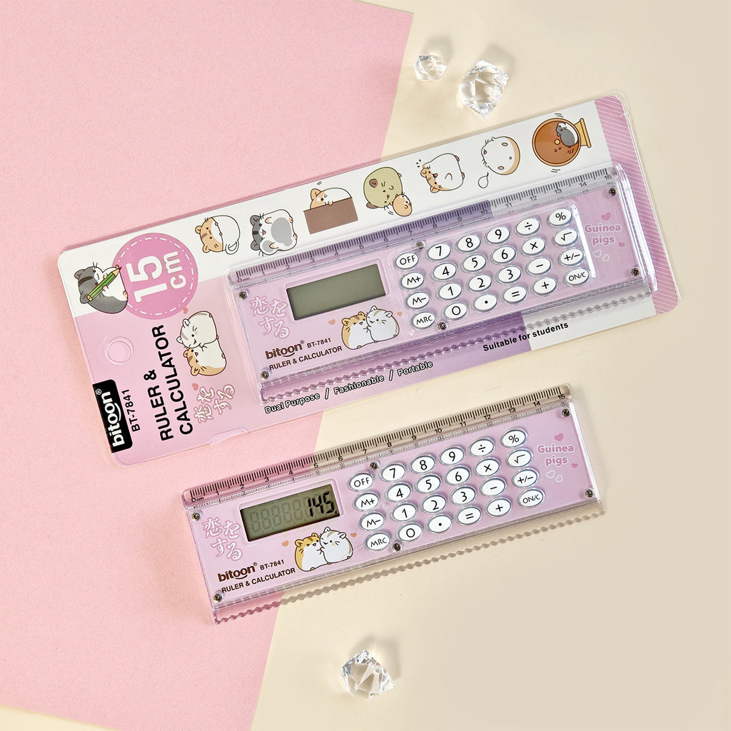Multifunctional Ruler Calculator