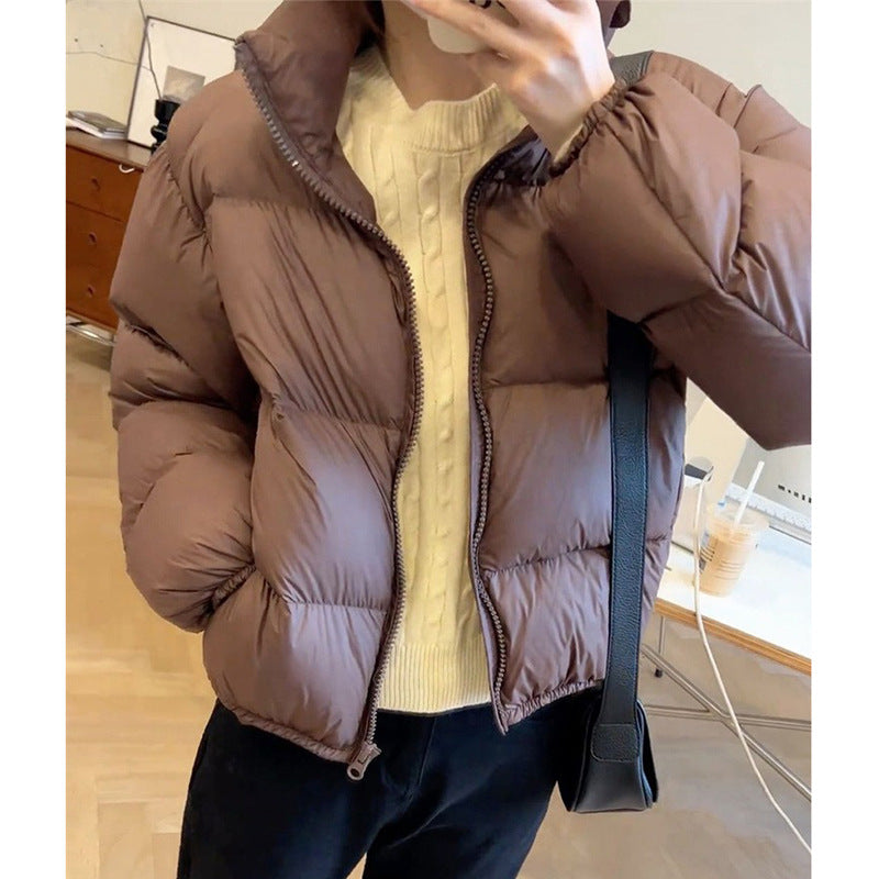 Padded Cropped Jacket