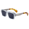 C8 transparent frame silver all gray