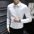 Wrinkle Free Silk Lustre Business Shirt